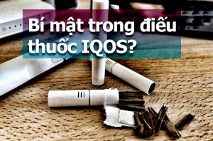 cấu tạo thuốc lá điện tử iqos