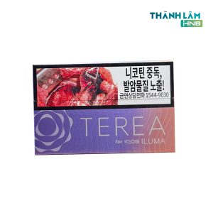 TEREA Yugen Hàn (Vị hương hoa bạc hà)
