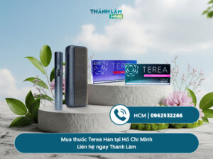 Mua terea Korea Hồ Chí Minh