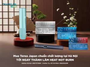 Mua Terea Japan tại Hà Nội