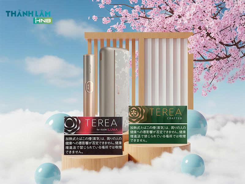 Mua Terea Nhật tại Hà Nội 