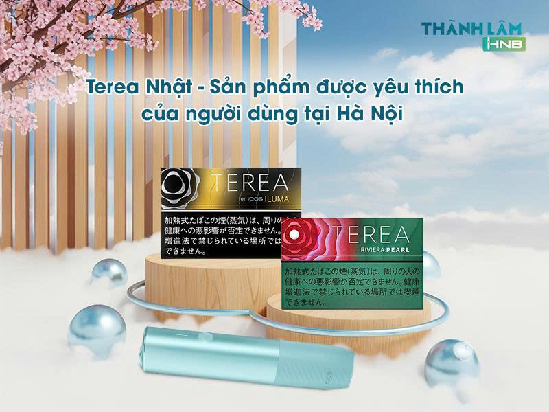 Mua Terea Nhật tại Hà Nội 