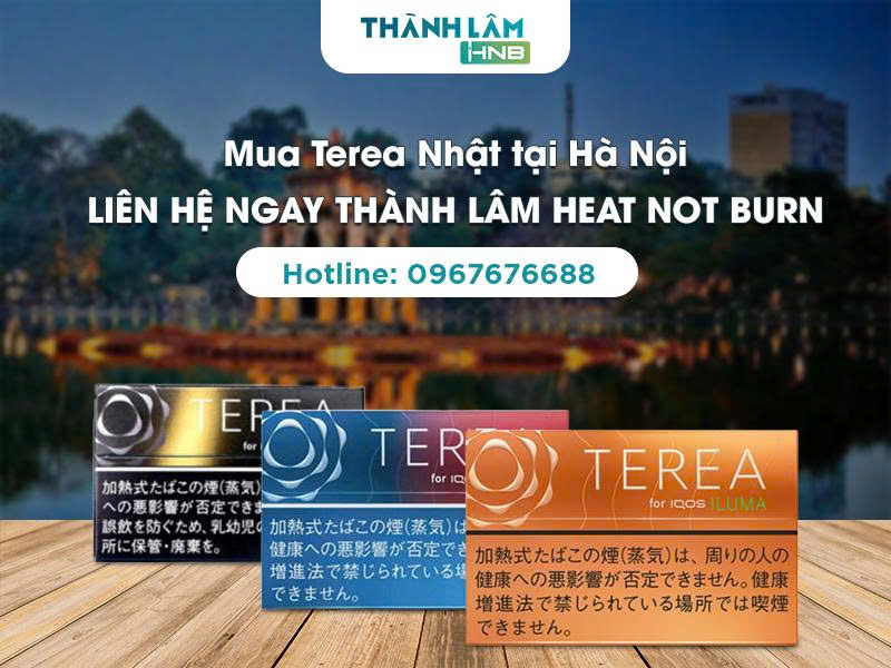 Mua Terea Nhật tại Hà Nội