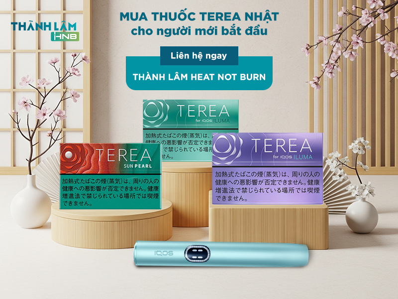 Thuốc Terea Nhật cho người mới bắt đầu 
