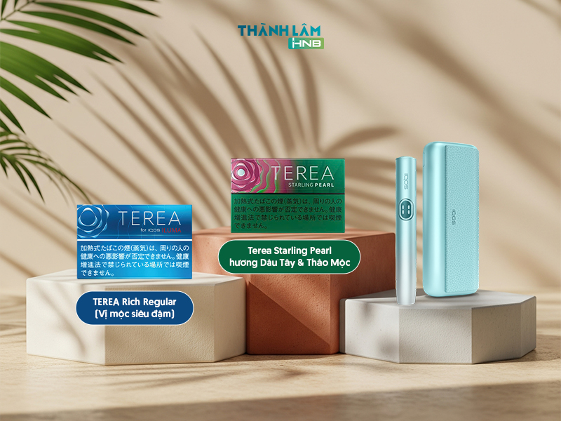 Thuốc Terea Nhật có những vị gì 