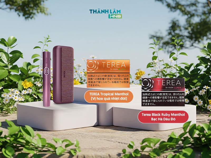 Thuốc Terea Nhật có những vị gì 