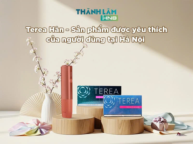 Mua Terea Hàn tại Hà Nội 
