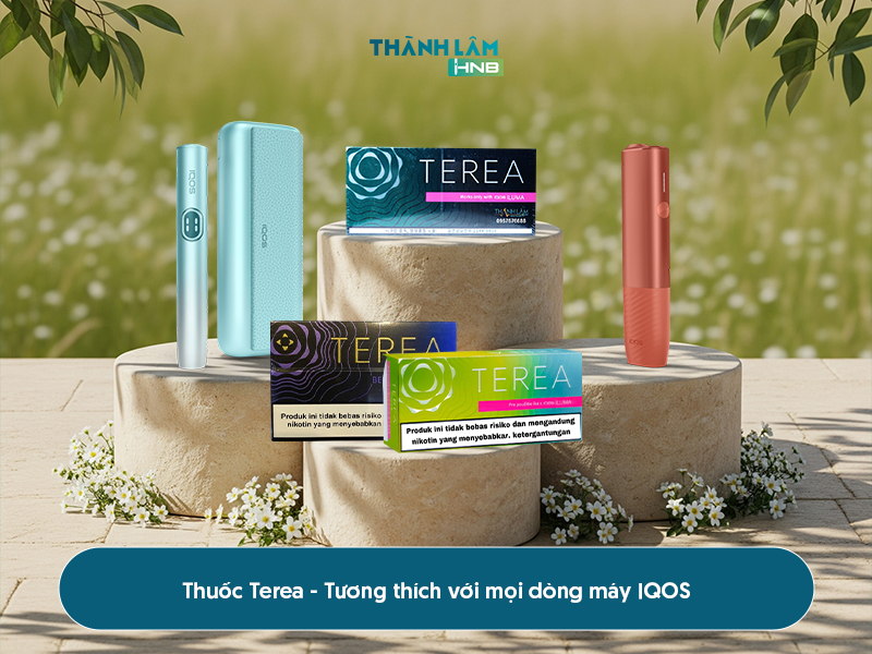 Mua Terea chính hãng