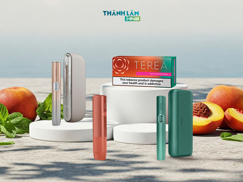 Mua thuốc Terea Kazakhstan tại Hà Nội