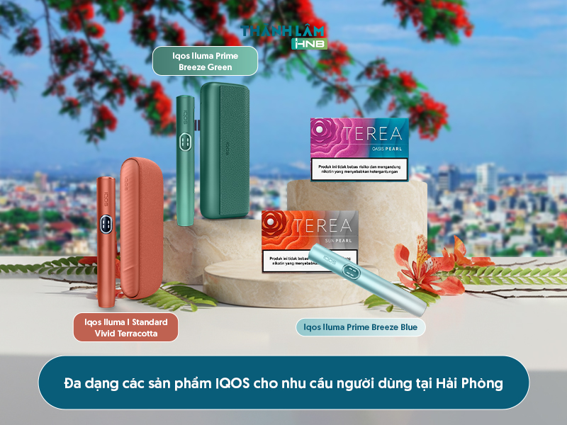 ioqs hải phòng 