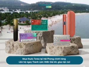 Mua thuốc Terea Hải Phòng