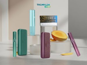 Terea indonesia Minago Edition