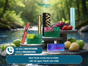 Terea vị trái cây tự nhiên